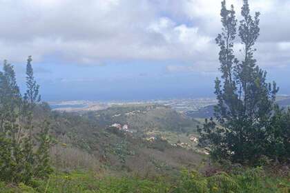 Venkovské / zemědělské půdy na prodej v Teror, Las Palmas, Gran Canaria. 