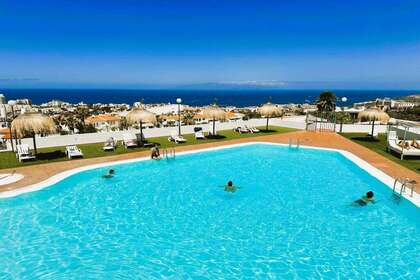 Monilocale vendita in Adeje, Santa Cruz de Tenerife, Tenerife. 