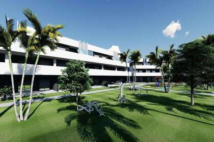 Flat for sale in Guardamar del Segura, Alicante. 