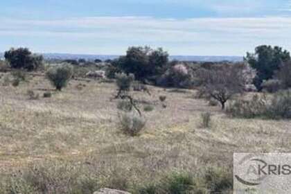 Enredo venda em Casarrubios del Monte, Toledo. 