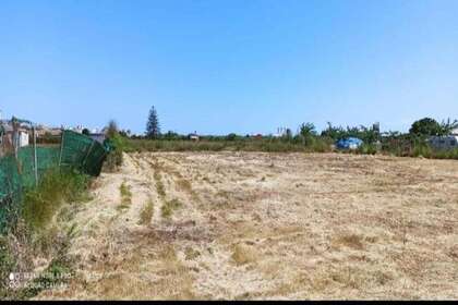 Landwirtschaftliche Fläche zu verkaufen in Cullera, Valencia. 