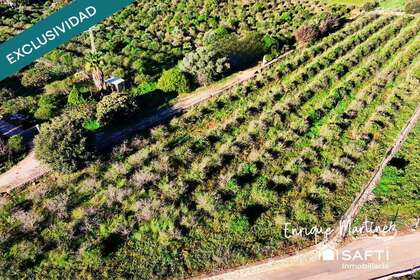 Landbouwgrond verkoop in Dénia, Alicante. 