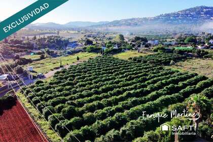 Landbouwgrond verkoop in Dénia, Alicante. 