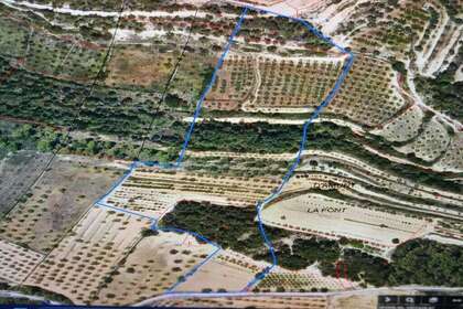 Landbouwgrond verkoop in Vilalba dels Arcs, Tarragona. 