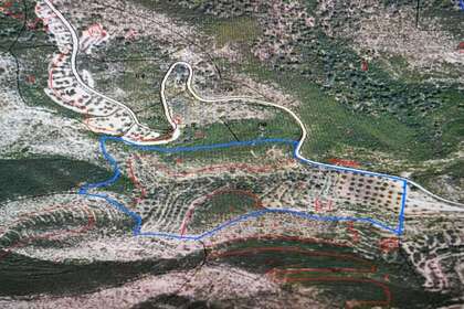 Landbouwgrond verkoop in Vilalba dels Arcs, Tarragona. 