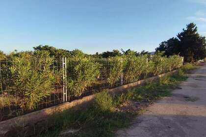 Landbouwgrond verkoop in Cullera, Valencia. 