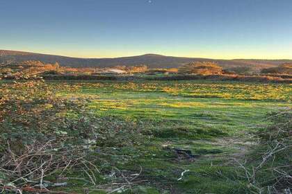 Landbouwgrond verkoop in Lama (A), Pontevedra. 