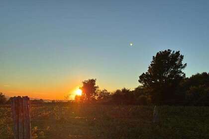 Landbouwgrond verkoop in Lama (A), Pontevedra. 