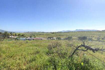Percelen/boerderijen verkoop in Cartama, Málaga. 