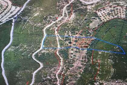 Landbouwgrond verkoop in Vilalba dels Arcs, Tarragona. 