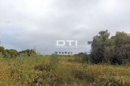 情节 出售 进入 San Bartolomé de la Torre, Huelva. 