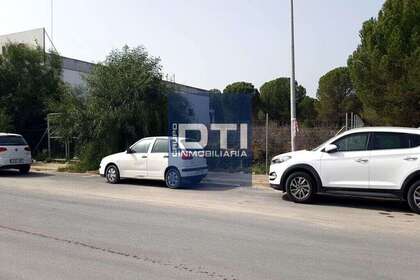 情节 出售 进入 Almonte, Huelva. 