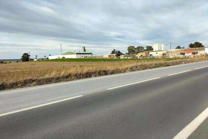 情节 出售 进入 Palma del Condado (La), Huelva. 