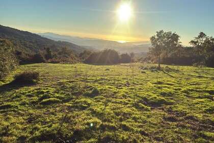 Městský pozemek na prodej v Lama (A), Pontevedra. 