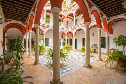 酒店公寓 进入 Sevilla. 