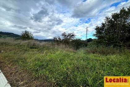 Parcelle/Propriété vendre en Villaviciosa, Asturias. 