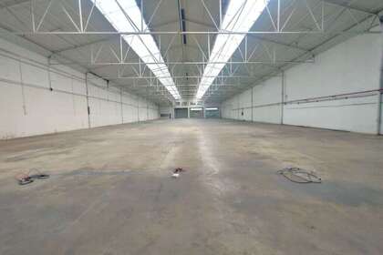 Warehuse i Alicante/Alacant. 