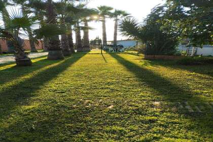 Terreno rústico/agrícola venta en Carmona, La Campiña, Sevilla. 