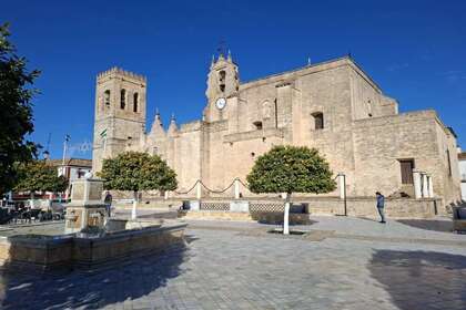Haus zu verkaufen in Villalba del Alcor, Huelva. 