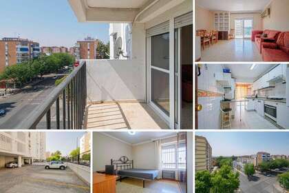 平 出售 进入 Sevilla. 