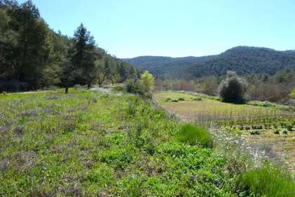 Terras Agrícolas / Rurais venda em Arroyomolinos (Cáceres). 