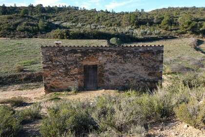 Terras Agrícolas / Rurais venda em Alfambra, Teruel. 