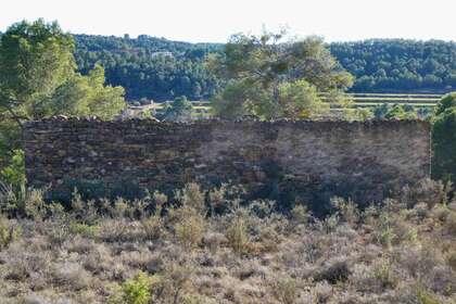 Terras Agrícolas / Rurais venda em Mazaleón, Teruel. 