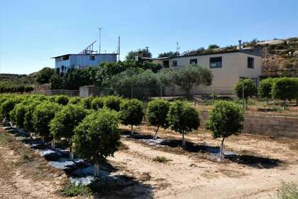 Terras Agrícolas / Rurais venda em Caspe, Zaragoza. 