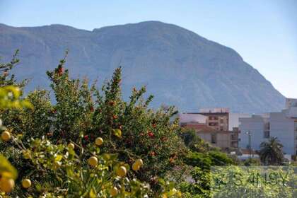 Landbouwgrond verkoop in Gata de Gorgos, Alicante. 