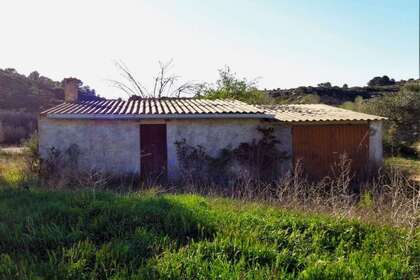 农业用地 出售 进入 Cella, Teruel. 