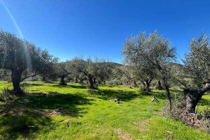 Rural/Agricultural land for sale in Zufre, Huelva. 