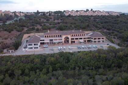 Office in San Roque, Cádiz. 