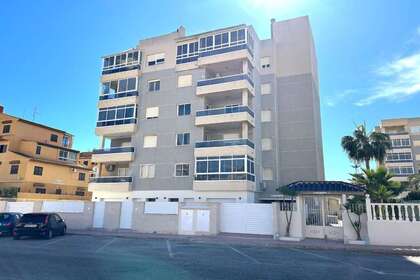 Byty na prodej v Torrevieja, Alicante. 