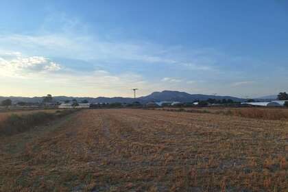Terras Agrícolas / Rurais venda em Puerto Lumbreras, Murcia. 