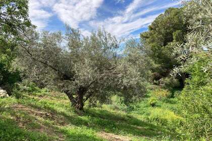 деревенский дом Продажа в Antequera, Málaga. 