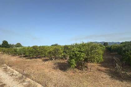 Terreno rústico/agrícola venta en Masdenverge, Tarragona. 
