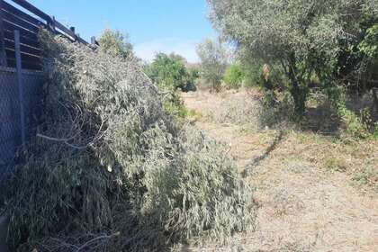 Residential land for sale in Calella, Barcelona. 