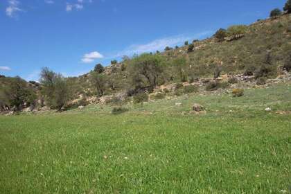 Rural/Agricultural land for sale in Escariche, Guadalajara. 