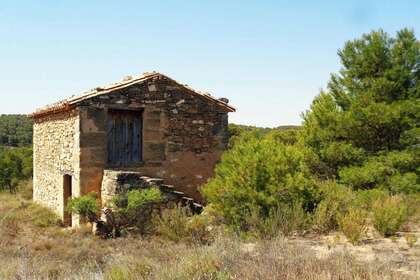 Rural/Agricultural land for sale in Cella, Teruel. 
