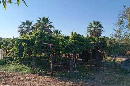 Urban plot for sale in Sevilla. 