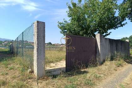 Rural/Agricultural land for sale in Tui, Pontevedra. 