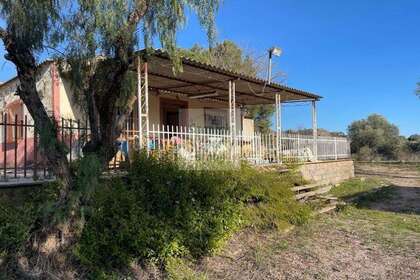 Construção venda em Romana (la), Alicante. 