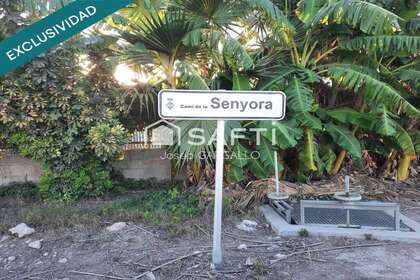 Rural/Agricultural land for sale in Amposta, Tarragona. 