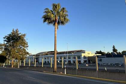 商业物业 进入 Sotogrande, Cádiz. 