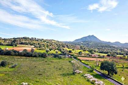 Residential land for sale in Felanich / Felanitx, Baleares (Illes Balears), Mallorca. 
