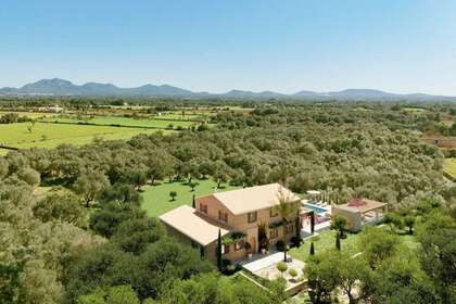 Residential land for sale in Felanich / Felanitx, Baleares (Illes Balears), Mallorca. 