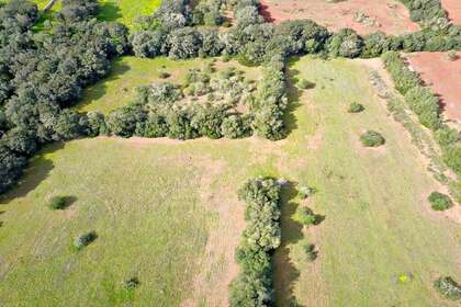 Residential land for sale in Felanich / Felanitx, Baleares (Illes Balears), Mallorca. 