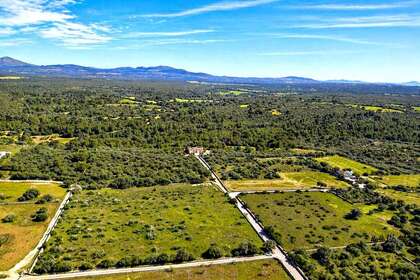 Residential land for sale in Santa Margarita / Santa Margalida, Baleares (Illes Balears), Mallorca. 