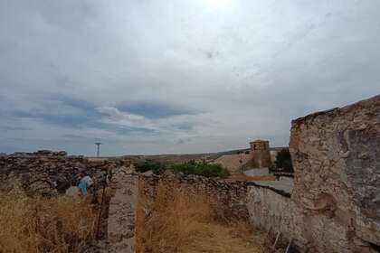 fotka