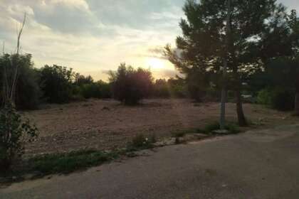 情节 进入 Murcia. 